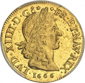 FRANKREICH / KAPITÄTEN - FRANKREICH / KÖNIG Ludwig XIV. (1643-1715). Louis d'or juvenile lauré 1666, D, Lyon.