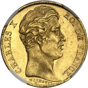 FRANCE - FRANCE Charles X (1824-1830). 20 francs 1825, A, Paris.