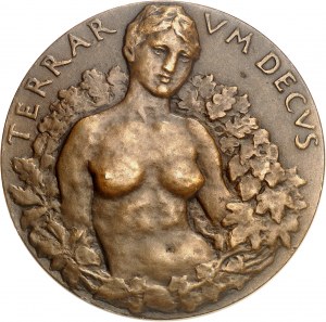 FRANCE - FRANCE IIIe République (1870-1940). Médaille, Conservation des forêts par Henry Cros, SAMF n° 164 1904, Paris.