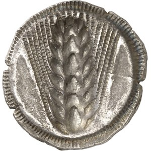 Lucanie, Métaponte. Statère incus ND (550-450 av. J.-C.), Métaponte.
