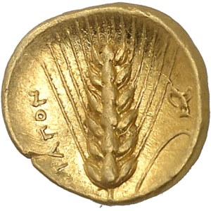Lucanie, Métaponte. Tétrobole ou tiers de statère ND (c.302 av. J.-C.), Métaponte.