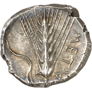 Lucanie, Métaponte. Didrachme ND (c.340-330 av. J.-C.), Métaponte.