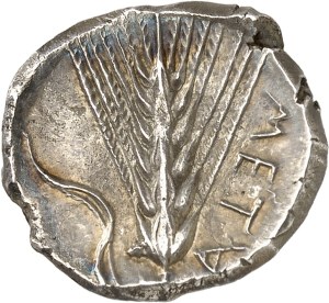 Lucania, Metapontum. Didrachme ND (c.340-330 BC), Metapontum.
