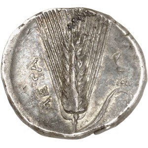 Lucanie, Métaponte. Didrachme au nom de NI- et APE- ND (c.340-330 av. J.-C.), Métaponte.