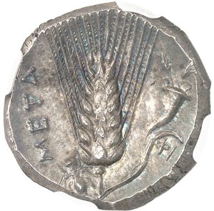 Lucania, Metapontum. Didrachme ND (c.290-280 BC), Metapontum.