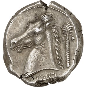 Sicile, émissions siculo-puniques. Tétradrachme ND (c.320-290 av. J.-C.), Entella ?
