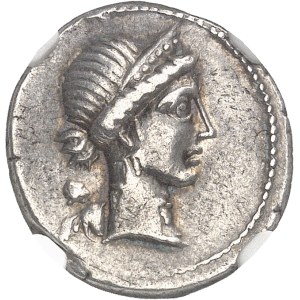 Jules César (60-44 av. J.-C.). Denier ND (46-45 av. J.-C.), Espagne.