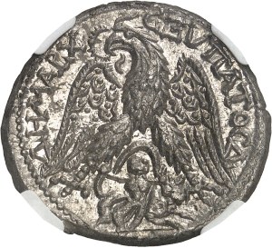 Caracalla (198-217). Tetradrachma ND (215-217), Sidon.