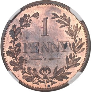 Afrique du sud (République d’). 1 penny, pour L. C. Lauer à Nuremberg, Flan bruni (PROOF) 1890, Berlin (Otto Nolte et C°).