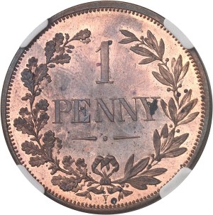 South Africa (Republic of). 1 penny, for L. C. Lauer in Nuremberg, Flan bruni (PROOF) 1890, Berlin (Otto Nolte et C°).