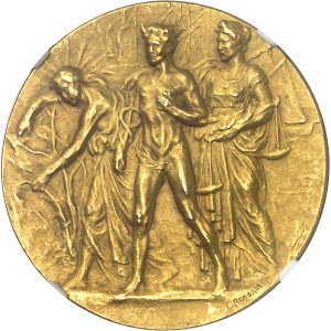 Albert Ier (1909-1934). Médaille d’or, Commission permanente des sucres, par É. Rombaux, Flan mat 1909, Bruxelles.