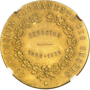Albert Ier (1909-1934). Médaille d’or, Commission permanente des sucres, par É. Rombaux, Flan mat 1909, Bruxelles.