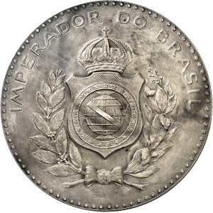 Pierre Ier (1822-1831). Médaille, don Pedro Ier, par L. Bottée ND (c.1885), Paris (Janvier et Duval).