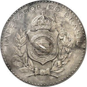 Pedro I (1822-1831). Medal, Don Pedro I, by L. Bottée ND (c.1885), Paris (Janvier et Duval).