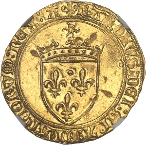 Charles VIII (1483-1498). Écu d’or au soleil, 1ère émission modifiée avec lis initiaux ND (1494-1498), Angers.