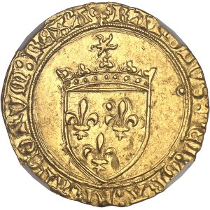 Charles VIII (1483-1498). Écu d’or au soleil, 1ère émission modifiée avec lis initiaux ND (1494-1498), Angers.