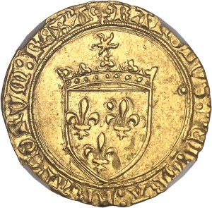 Charles VIII (1483-1498). Écu d’or au soleil, 1ère émission modifiée avec lis initiaux ND (1494-1498), Angers.