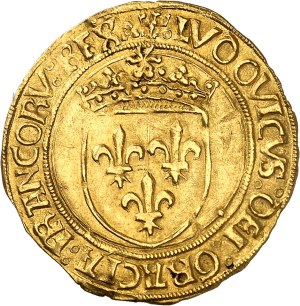 Louis XII (1498-1514). Golden shield with ND sun, Lyon.