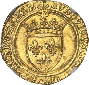 Louis XII (1498-1514). Golden shield with ND sun, Montpellier.