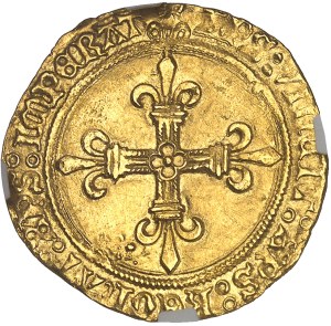 Louis XII (1498-1514). Golden shield with ND sun, Montpellier.