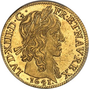 Louis XIII (1610-1643). Louis d'or à la mèche longue et étoile 1641, A, Paris.