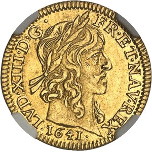 Louis XIII (1610-1643). Demi-louis d’or à la mèche longue et étoile 1641, A, Paris.