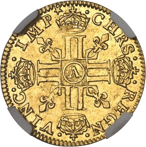 Louis XIII (1610-1643). Demi-louis d'or à la mèche longue et étoile 1641, A, Paris.