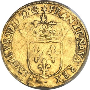 Louis XIV (1643-1715). Golden shield with sun 1645, N, Montpellier.
