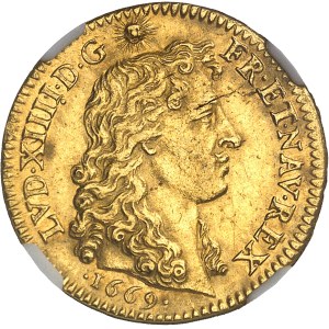 Louis XIV (1643-1715). Louis d’or à la tête nue 1669, A, Paris.