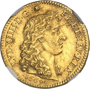 Louis XIV (1643-1715). Louis d'or à la tête nue 1669, A, Paris.