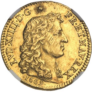 Louis XIV (1643-1715). Louis d’or à la tête nue 1669, A, Paris.