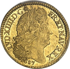 Louis XIV (1643-1715). Louis d'or à la perruque et aux huit L 1687, A, Paris.