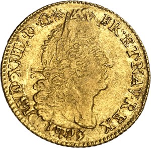 Louis XIV (1643-1715). Louis d'or aux quatre L 1693, A, Paris.