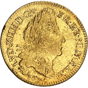 Louis XIV (1643-1715). Louis d’or aux quatre L 1694, A, Paris.