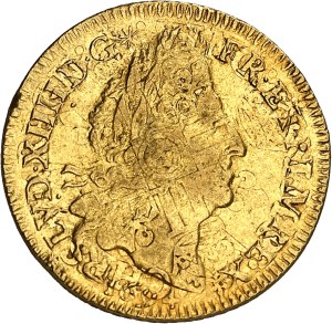 Louis XIV (1643-1715). Louis d'or aux quatre L 1694, A, Paris.
