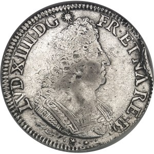 Louis XIV (1643-1715). Écu de Béarn aux palmes 1693, Pau.