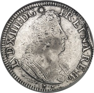 Louis XIV (1643-1715). Écu de Béarn aux palmes 1693, Pau.