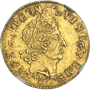 Louis XIV (1643-1715). Demi-louis aux huit L et aux insignes, réformation 1702, B, Rouen.