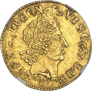 Louis XIV (1643-1715). Half-louis with eight Ls and insignia, reformation 1702, B, Rouen.