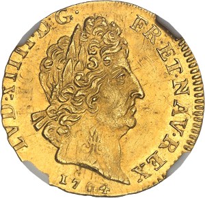 Louis XIV (1643-1715). Louis d'or aux insignes, reformation 1704, A, Paris.