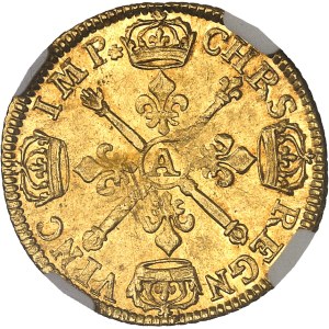 Louis XIV (1643-1715). Louis d’or aux insignes et aux cheveux longs, flan neuf 1704, A, Paris.