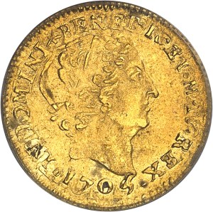 Louis XIV (1643-1715). Gold half-louis with insignia, 1705 reformation, S, Reims.