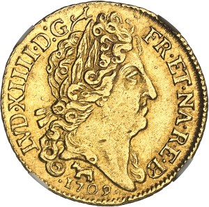Louis XIV (1643-1715). Louis d'or au soleil de Béarn 1709, cow, Pau.