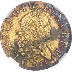 Louis XV (1715-1774). Louis d’or dit Mirliton de Béarn, aux palmes longues 1724, Pau.