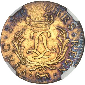 Louis XV (1715-1774). Louis d’or dit Mirliton de Béarn, aux palmes longues 1724, Pau.