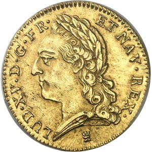 Louis XV (1715-1774). Double louis d’or à la vieille tête 1772, I, Limoges.