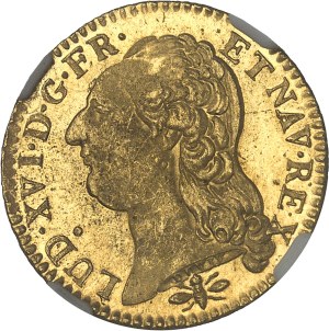 Louis XVI (1774-1792). Louis d'or à la tête nue 1786, 2d semester, D, Lyon.