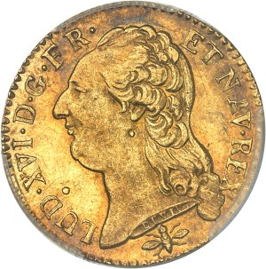 Louis XVI (1774-1792). Louis d'or à la tête nue 1786, 2d semester, D, Lyon.