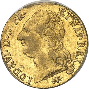 Louis XVI (1774-1792). Louis d’or à la tête nue 1792, 2d semestre, D, Lyon.