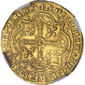 Provence (Comté de), Jeanne, seule (1362-1382). Franc à pied 5e type ND (1362-1382).